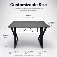 Bureau de jeu personnalisé à haute capacité de charge, table ergonomique avec étagères, bureau d'ordinateur, bureau PC, bureau de sport électronique, structure en tube d'acier, table de bureau