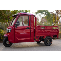 Allemagne en stock EEC COC Produits agricoles Chariot basculant Tricycles électriques Tuk Tuk 800KG DDP