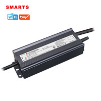 Driver LED Wifi 100w Tahan Air IP67 Dapat Diredupkan Nirkabel Menggunakan Modul TUYA