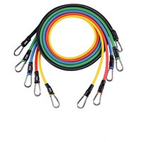Juego de Bandas de Resistencia para Entrenamiento en Casa - Bandas de Ejercicio Largas con Asas y Anclaje para Puerta para Entrenamiento de Fuerza de Cuerpo Completo, Goma TPE para Dominadas
