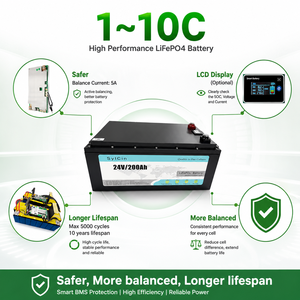 แบตเตอรี่ลิเธียม 24V 100Ah สำหรับพลังงานแสงอาทิตย์ ชุดเก็บพลังงาน 200ah แบบ Deep Cycle สำหรับรถกอล์ฟ - Product Image 6