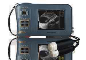 Machine à ultrasons vétérinaire non invasive avancée pour le diagnostic précoce de la grossesse chez les truies et les brebis - Product Image 6