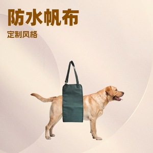Soporte para Patas Traseras de Perro, Tela Oxford, Ayuda para el Equilibrio, Asistencia para Caminar para Perros Mayores - Product Image 2