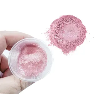 Polvo de mica 5g botella Rosa brillo fino pigmento en polvo para Resina epoxi transparente manualidades DIY