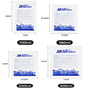 Paquetes de Hielo Seco de Larga Duración para Envíos de Productos Perecederos - Product Image 2