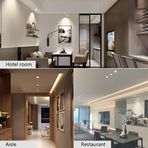 Vente en gros à bas prix Maison en fer Hôtel Salon Lobby Restaurants Intérieur IP44 COB Led Downlights - Product Image 6