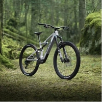 Vélo de montagne électrique en fibre de carbone Amflow PL Carbon 800Wh pour la conduite en plein air