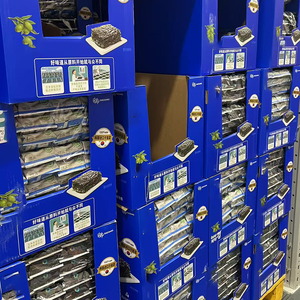 Présentoir en carton personnalisé <span class=keywords><strong>Chips</strong></span> avec support Présentoir pour emballage de snack Présentoir pour croustilles pour supermarché - Product Image 4