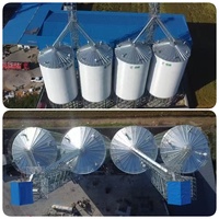 Silo Verticale in Acciaio Inox con Fondo Conico, Capacità 500T-1000T, Assemblaggio Imbullonato, Zincato, per Uso in Allevamenti Avicoli e Stoccaggio