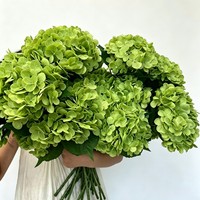 Bunga Hydrangea 3D Printing Besar dengan Tekstur Melembapkan, Dekorasi Hotel, Dekorasi Pernikahan, Dekorasi Rumah, Bunga Artifisial Film