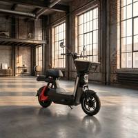 Moto électrique urbaine légère 800W 48V24Ah Lithium Double Siège 3 Vitesses 50km Autonomie Longue Portée 200kg Charge Lourde Frein à Tambour Avant et Arrière