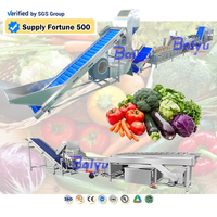 Productielijn voor diepvriesgroenten en -fruit: wassen, snijden, blancheren, dehydrateren, machine voor het verwerken van salade, broccoli, tomaat en maïs