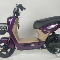 Vélo électrique populaire en Amérique du Sud, modèle 48V, biplace pour adultes, avec moteur électronique sans balais à moyeu arrière haute vitesse, personnalisé en usine