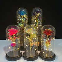 Lampes LED sous dôme en verre, cadeau pour la fête des mères, Noël, fleurs et plantes préservées en plastique, rose éternelle, rose de la galaxie, rose éternelle pour femmes