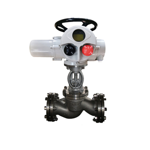 Válvula de Globo Motorizada de Acero Inoxidable 304 con Actuador Multivuelta de Doble Brida Tipo On/Off DN50 - Product Image 2