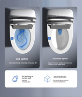 WC intelligent moderne à poser au sol avec bidet électrique, ensemble de toilettes sanitaires intelligentes à chasse automatique pour salle de bain