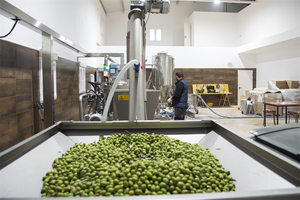 Aceite de oliva artesanal puro prensado en frío, aceite vegetal de alta calidad, con alto contenido de polifenol español, sabor superior - Product Image 3