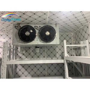 Congelador Comercial Bitzer, Precio de Congelador Industrial Copeland, Cámara Frigorífica, Puerta para Almacenamiento en Frío - Product Image 3