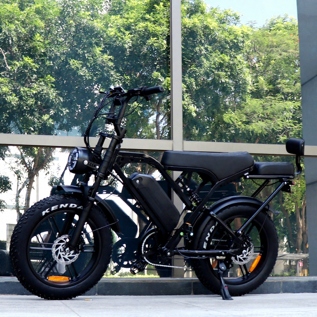 250w Ebike E Bike Fast Delivery E Bike Citybike off Road E-bike Electric Dirt Bike Cheap Long Range Electric Bicycle Woman