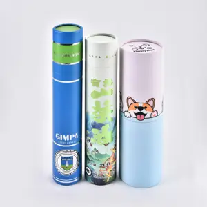 Op Maat Gemaakte Embossing Logo Printcilinder Ronde Cosmetische Parfum Papieren Buis Verpakking Aquarel Pen Verpakking