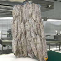 Nuovo arrivo pesce crudo intero congelato Bonito pallottola tonno oceanico Bonito con buoni prezzi