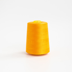 Échantillon gratuit de couleurs en stock Tex27 40s/2 Fil à coudre en polyester haute vitesse, haute ténacité, résistant à l'eau, 3000Y - Product Image 2