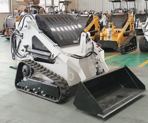 T460 بيع مباشر جرافة زاحفة صغيرة زحّافة توجيه بسعر رخيص - Product Image 5