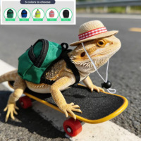 Ensemble de 3 jouets transfrontaliers pour petits animaux : Lézard, Hamster, Tortue - Planche à roulettes pour animaux, Sac à dos, Chapeau - Superbe ensemble