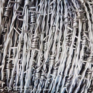Fil barbelé galvanisé haute résistance de calibre 10, certifié ISO9001, pour clôture de protection, longueur 100-500m, avec 2025 barbelures de 12,5 mm - Product Image 1