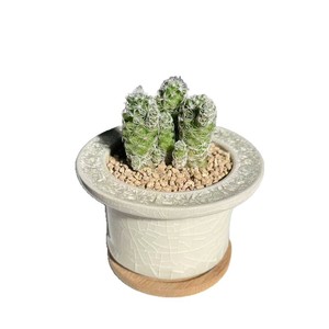 Pot de fleurs en céramique minimaliste et respirant, finition craquelée, pour plantes vertes, cactus, petit plateau de bonsaï de bureau, transfrontalier - Product Image 1
