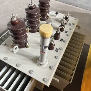Transformadores de Alta Tensão Dacheng de Cobre 80KVA, <span class=keywords><strong>3</strong></span> Fases, 30kva, 50kva, 80kva, 100kva, 125kva, 160kva, Imersos em Óleo - Product Image 6