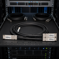 Câble de dérivation DAC passif à ailettes 400G OSFP vers 2x 200G QSFP56 pour interconnexion rack Switch vers NIC