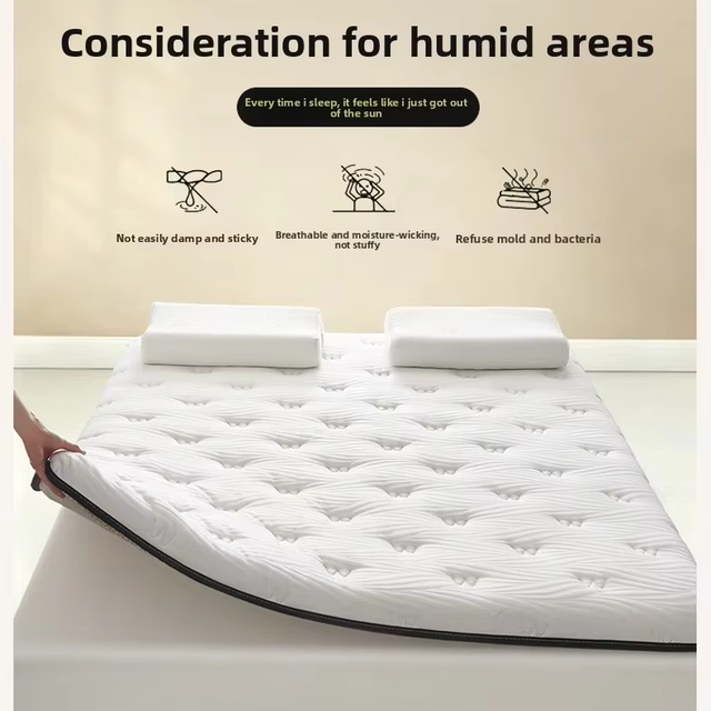 Latex Memory Foam Mattress Topper Soft Mattress Pad Home Bedroom Quilted Mattress Student Dormitory Single Home Furniture