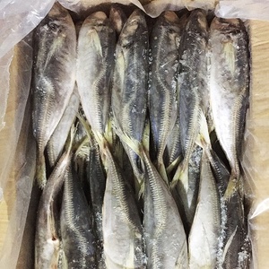 23 ס "מ + קרקע קפואה bqf סיטוני סוס <span class=keywords><strong>mackerel</strong></span>/trachurus rachurus traachurus - Product Image 6