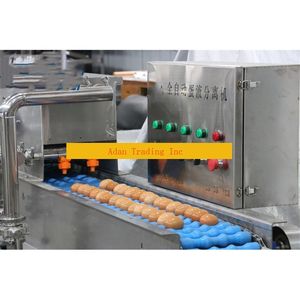 Séparateur automatique de jaune d'œuf/machine à casser les œufs pour le traitement de la poudre d'œuf - Product Image 4