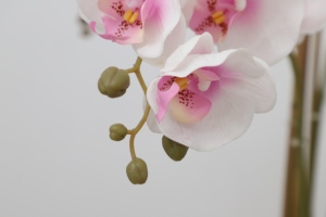 Real Tough White Plastic <strong>Orchid</strong> Flower Stem, Artificial <strong>Orchid</strong>, <strong>Orchid</strong> Flower Artificial - Product Image 3