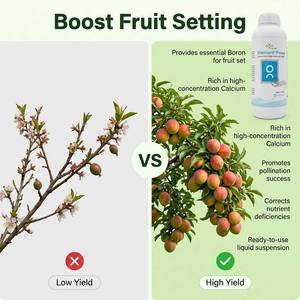 organique de bore de Calcium liquide organique de haute qualité <span class=keywords><strong>Engrais</strong></span> <span class=keywords><strong>soluble</strong></span> dans l'eau <span class=keywords><strong>Engrais</strong></span> de bore de Calcium liquide - Product Image 3