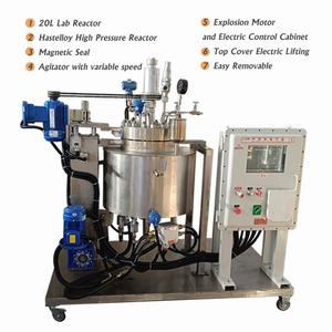 ריאקטור מעבדה בלחץ גבוה מדגם Hastelloy כימי של Borui 20 ליטר למכירה - Product Image 2