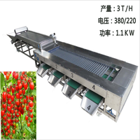 Automatische groente- en fruitwas-, droog- en sorteermachinelijn, fruitrolsorteermachine