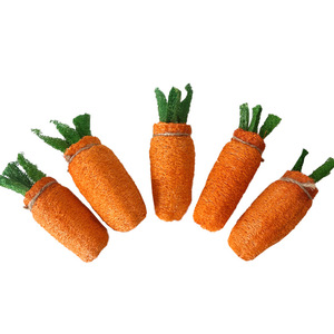 Jouets naturels en loofah pour lapins et cochons d'Inde : jouet carotte, accessoires de mastication pour le nettoyage des dents molaires - Product Image 5