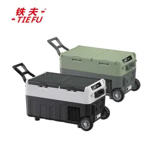 Năng lượng mặt trời Powered Tủ lạnh di động tủ lạnh 40 lít xe tủ lạnh Tủ đông mát