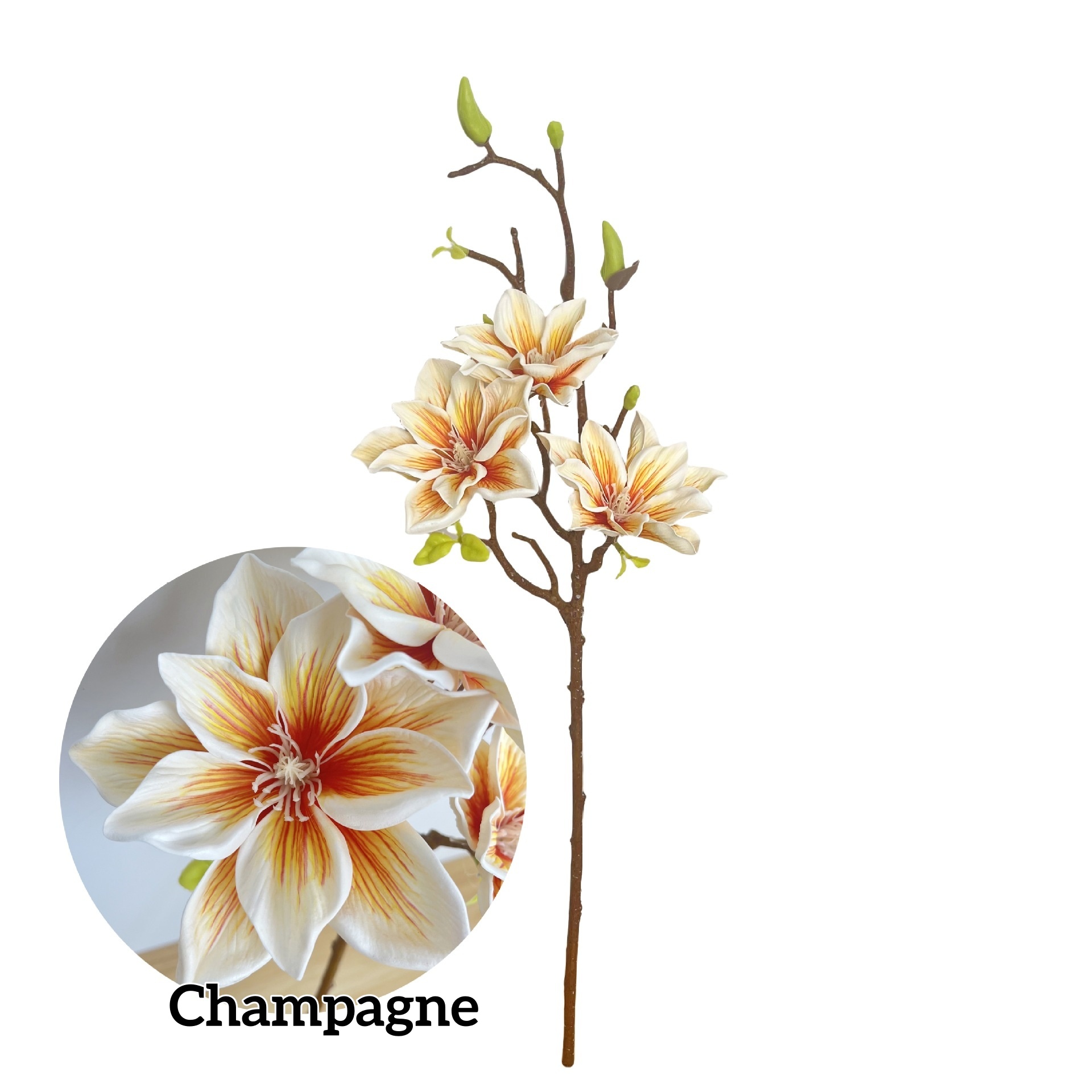 Champagne
