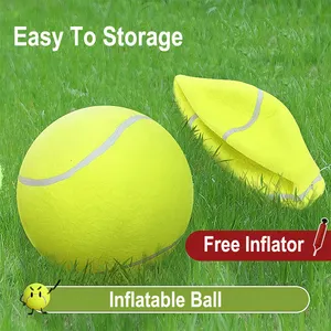 La fabbrica diretta Hoopet ad alto rimbalzo gonfiabile galleggiante giocattoli per cani palla da Tennis gigante