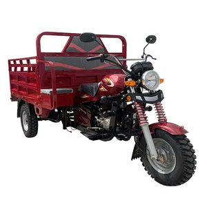 From In China Supplier Cargo Gasoline Tricycle Three Wheel Motorcycle China