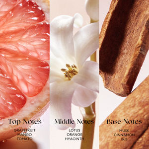 <span class=keywords><strong>Perfume</strong></span> Importado de Francia O.TWO.O Nile Greenery, Fragancia Floral Frutal, Aroma Duradero de Verano, Notas Verdes, Incienso - Product Image 2