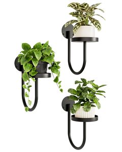 Support mural <span class=keywords><strong>carré</strong></span> en <span class=keywords><strong>métal</strong></span> thermolaqué pour plantes d'intérieur, étagères de fenêtre, installation facile pour salon et balcon - Product Image 1