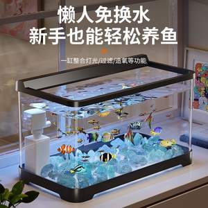 Petit thermomètre à eau de réservoir d'aquarium en plastique transparent HD pour salon paysage de bureau accessoire écologique - Product Image 2