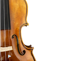 Haute qualité Top vente européen Tonewoods spécial pour violon classement professionnel pleine taille fait à la main 4/4 violon