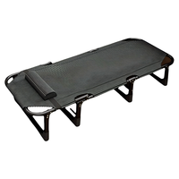 Chaise longue pliante simple en métal pour adulte, légère, nouveau design de style chinois, portable, pour la maison, le bureau, le salon