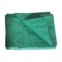 LVJU Terpal Gulung Berat 160gsm Anti-UV Berlapis PE Tenun Polos Bahan PE untuk Tenda Luar Ruangan, Mobil, Perahu-Biru
